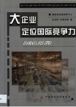 大企业定位国际竞争力
