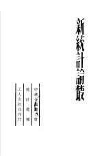 新统计论丛