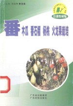 番木瓜 番石榴 杨桃 火龙果栽培
