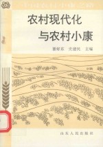 农村现代化与农村小康