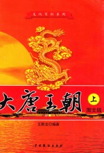 大唐王朝 上 图文版