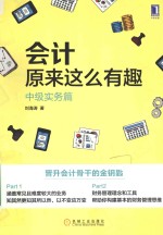 会计原来这么有趣 中级实务篇