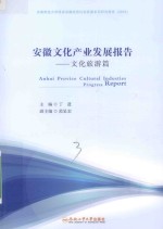 安徽文化产业发展报告 文化旅游篇2016
