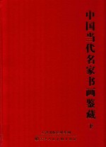 中国当代名家书画鉴藏 下
