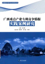 广西重点产业专利竞争情报实践案例研究