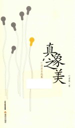 真象之美 叶渭渠自选集