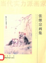 当代实力派画家 张继宗画集