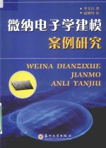 微纳电子学建模案例研究