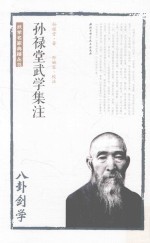 孙禄堂武学集注 八卦剑学