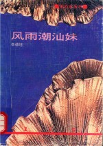 新作家丛书 风雨潮汕妹