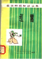 红薯