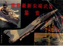 世界最新尖端武器鉴赏
