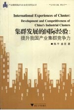 集群发展的国际经验:提升我国产业集群竞争力