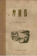电影文学剧本 摩雅傣
