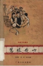 电影文学剧本 慧眼丹心