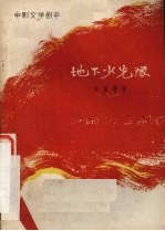 电影文学剧本 地下少先队