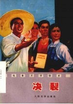 电影文学剧本 决裂