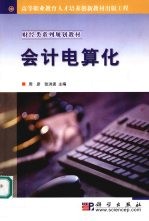 会计电算化