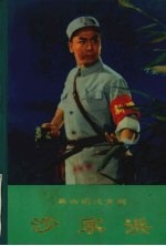 革命现代京剧 沙家浜