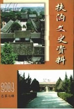 扶沟文史资料 2004 总第7辑