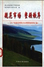 规范市场 整顿秩序 矿产资源管理秩序治理整顿资料汇编 1