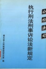 公检法司执行刑法刑事诉讼法新规定
