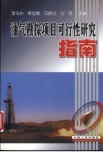 油气勘探项目可行性研究指南