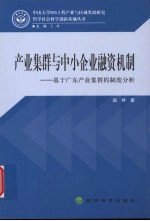 产业集群与中小企业融资机制 基于广东产业集群的制度分析