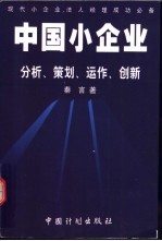 中国小企业：分析、策划、运作、创新