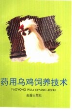 药用乌鸡饲养技术