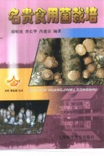 名贵食用菌栽培