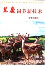 茸鹿饲养新技术