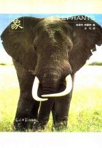 类人猿