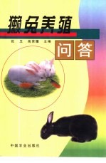 獭兔养殖问答