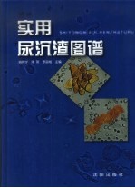 实用尿沉渣图谱