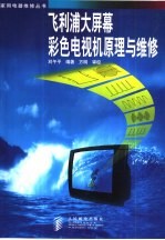 飞利浦大屏幕彩色电视机原理与维修