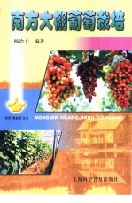 南方大棚葡萄栽培