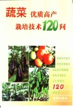 蔬菜优质高产栽培技术120问