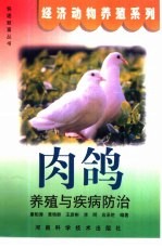 肉鸽养殖与疾病防治