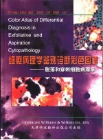 细胞病理学鉴别诊断彩色图谱 脱落和穿刺细胞病理学