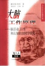 大脑工作原理 脑活动、行为和认知的协同学研究
