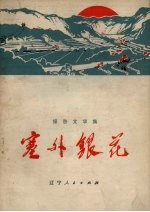 塞外银花 报告文学集