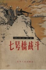 抗联故事集·七号桥战斗