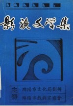影视文学集