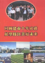 回顾建市十年成就展望枝江美好未来 1996年以来枝江发展成就报告