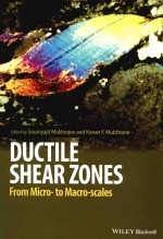 Ductile shear zones: from micro- to macro-scales
