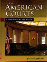 THE AMERICAN COURTS A PROCEDURAL APPROACH