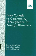 FROM CUSTODY TO COMMUNITY:THROUGHCARE FOR YOUNG OFFENDERS