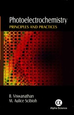 Photoelectrochemistry: principles and practices