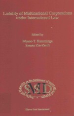 LIABILITY OF MULTINATIONAL CORPORATIONS UNDER INTERNATIONAL LAW